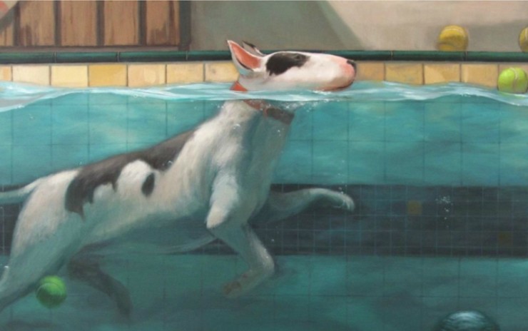 Get Started in colourful oil painting