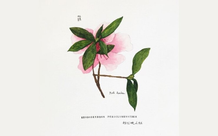 Mindful Botanical Watercolour Painting